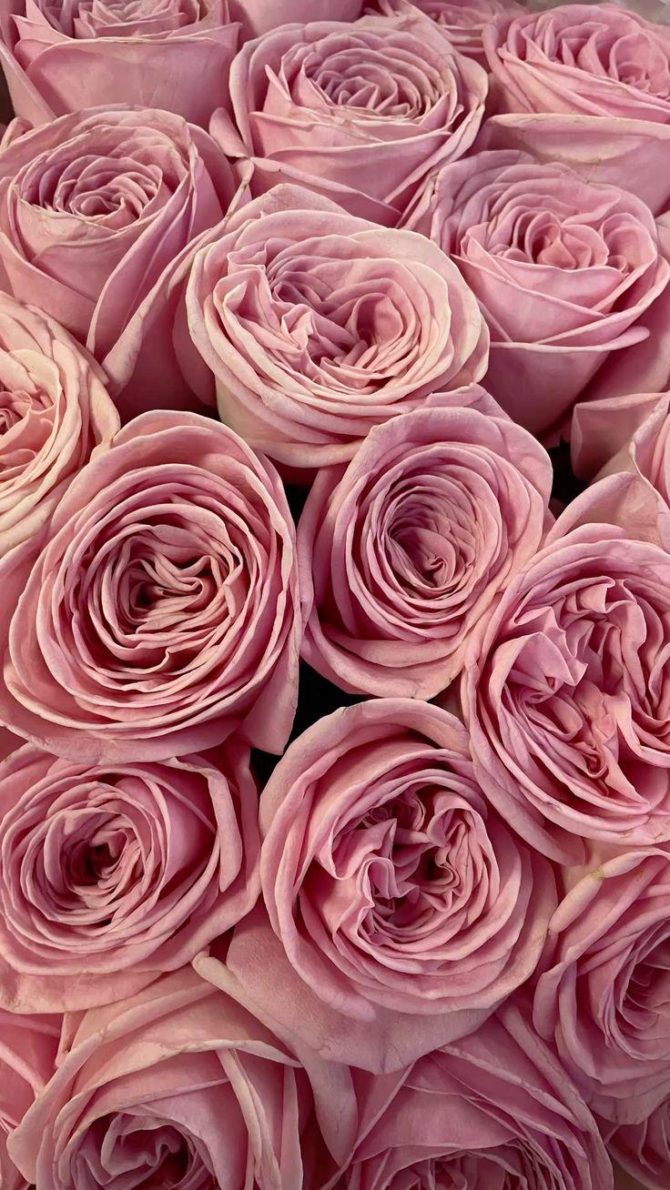 Whispers of Dawn: Delicate Morning Bouquet